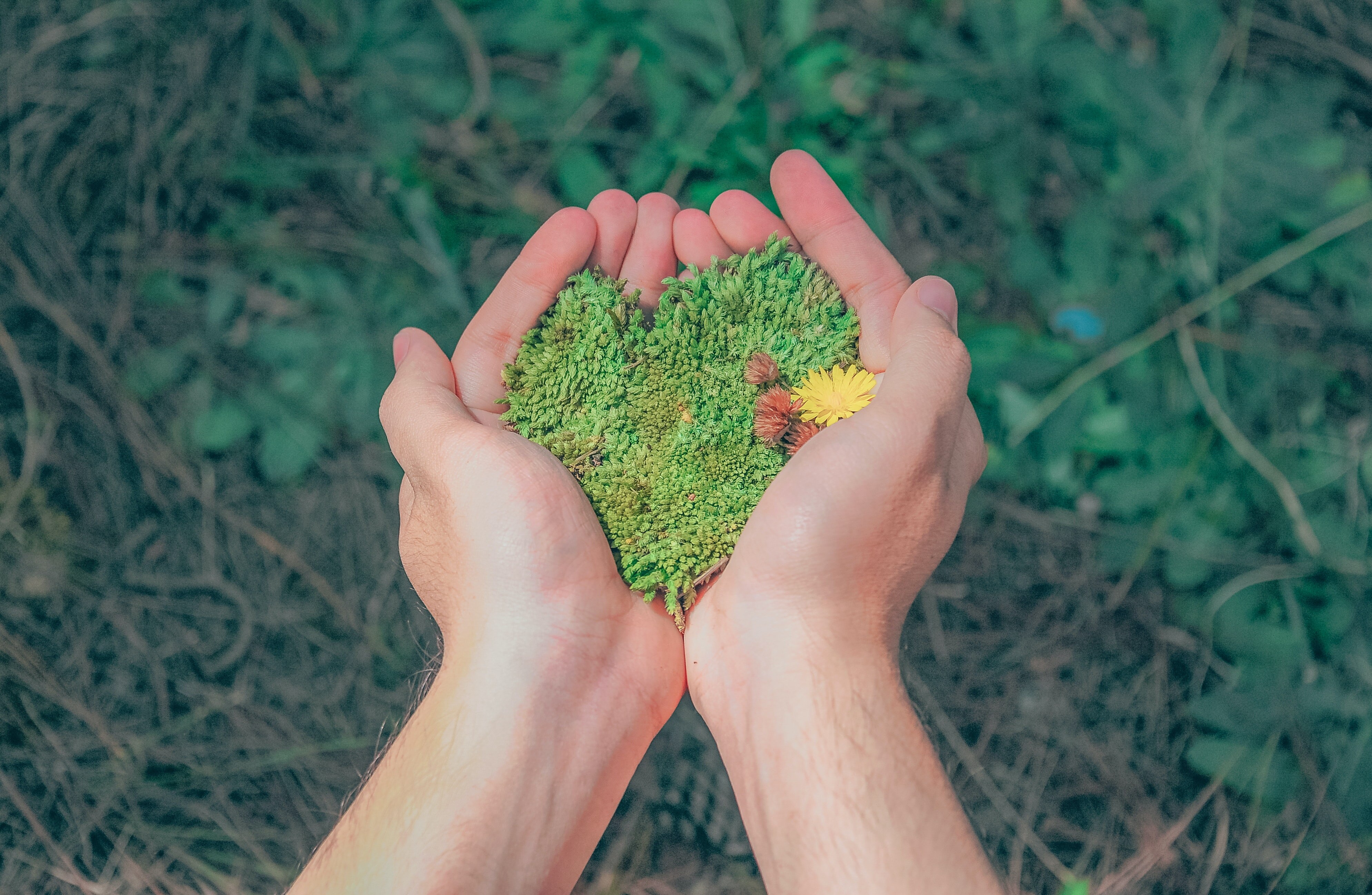 ¿Cuál es el impacto medioambiental en la disponibilidad de los nutrientes?